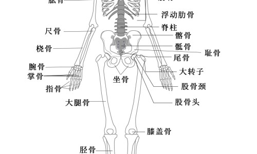 第六感多少钱一盒3片装-【第六感一盒多少个】第6感颗粒避孕套 - 第6感颗粒12只装网
